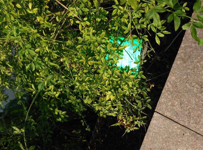 �}�^���@̫���M