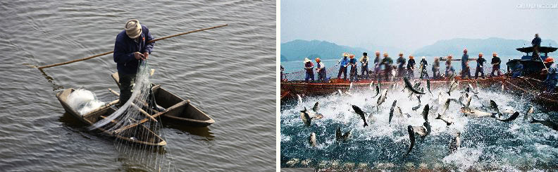 ���������I(y��)�W(w��ng)�j(lu��)�I�N�]��Ч����ԭ��