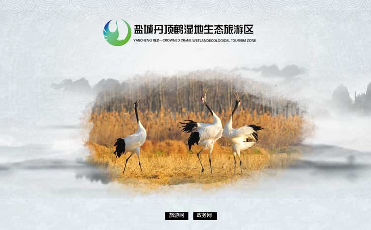 �}���Q���@