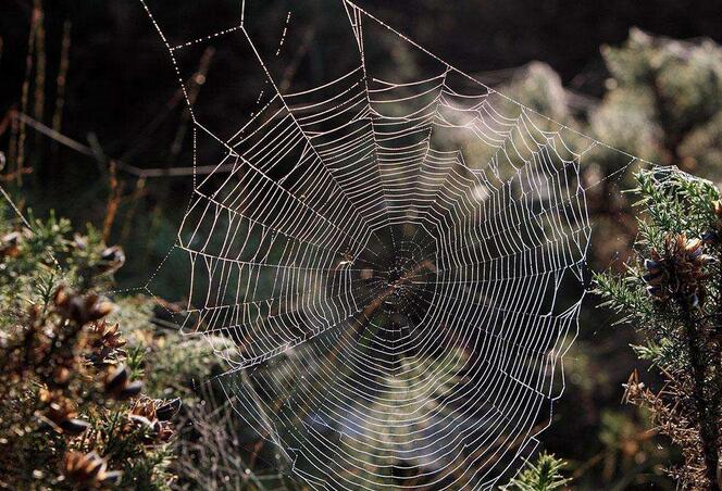 ��I(y��)�W(w��ng)�j(lu��)�I(y��ng)�N��ô���ŕ�(hu��)��Ч��